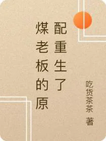 煤老板的原配重生了
