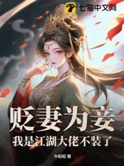 你迎娶平妻，我改嫁太子你哭什么