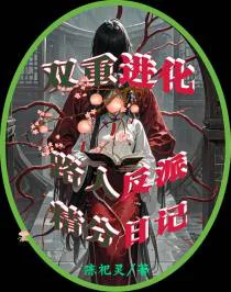双重进化：路人反派精分日记
