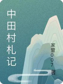 中田村札记