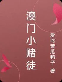 澳门小赌徒