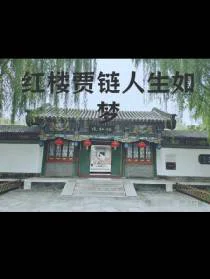 红楼贾链人生如梦