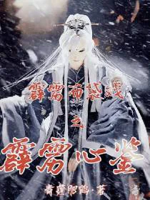 霹雳布袋戏之霹雳心鉴